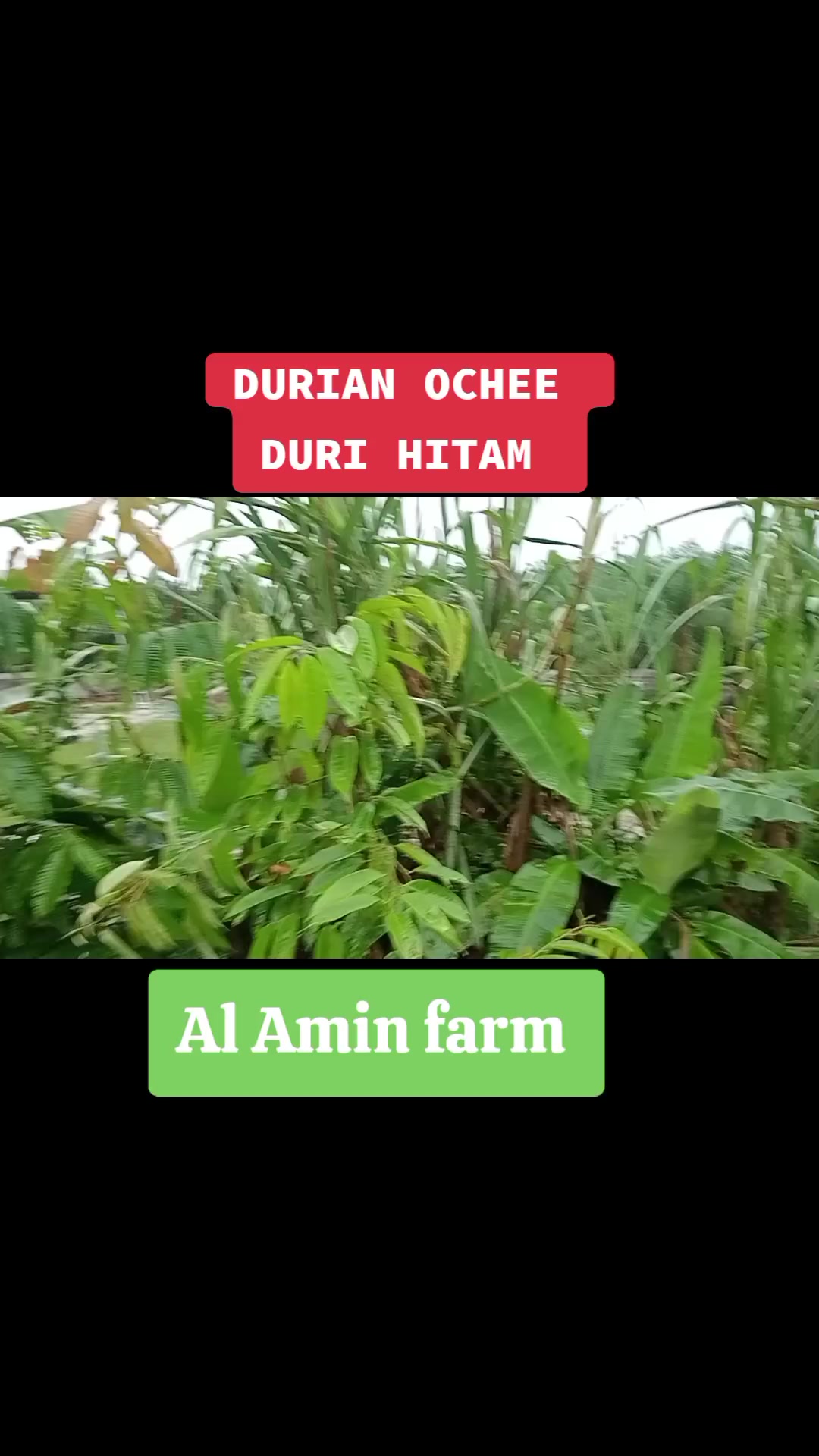 @PEJUANG keluarga ❤️