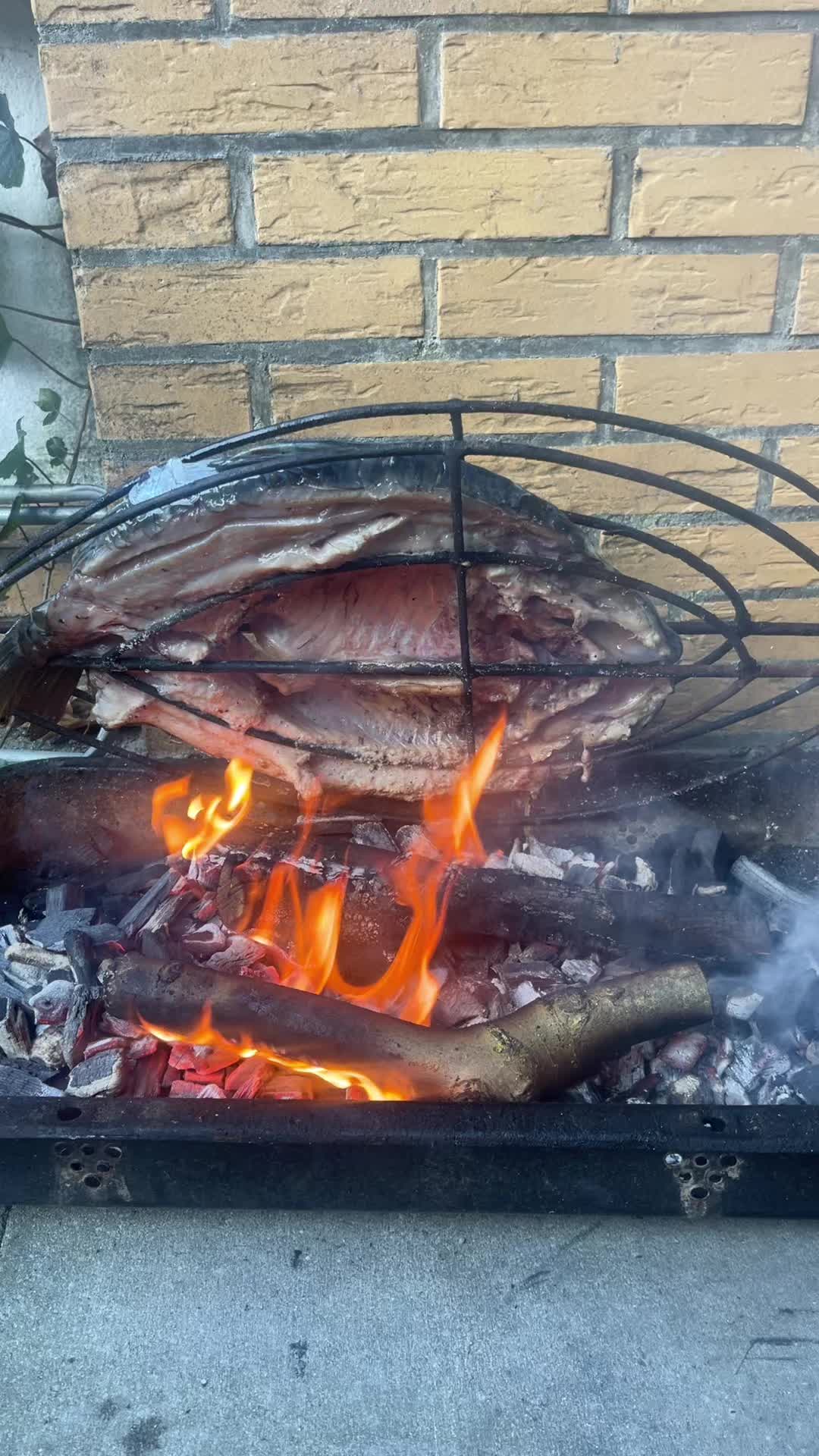 @Mohammad Alazzawi