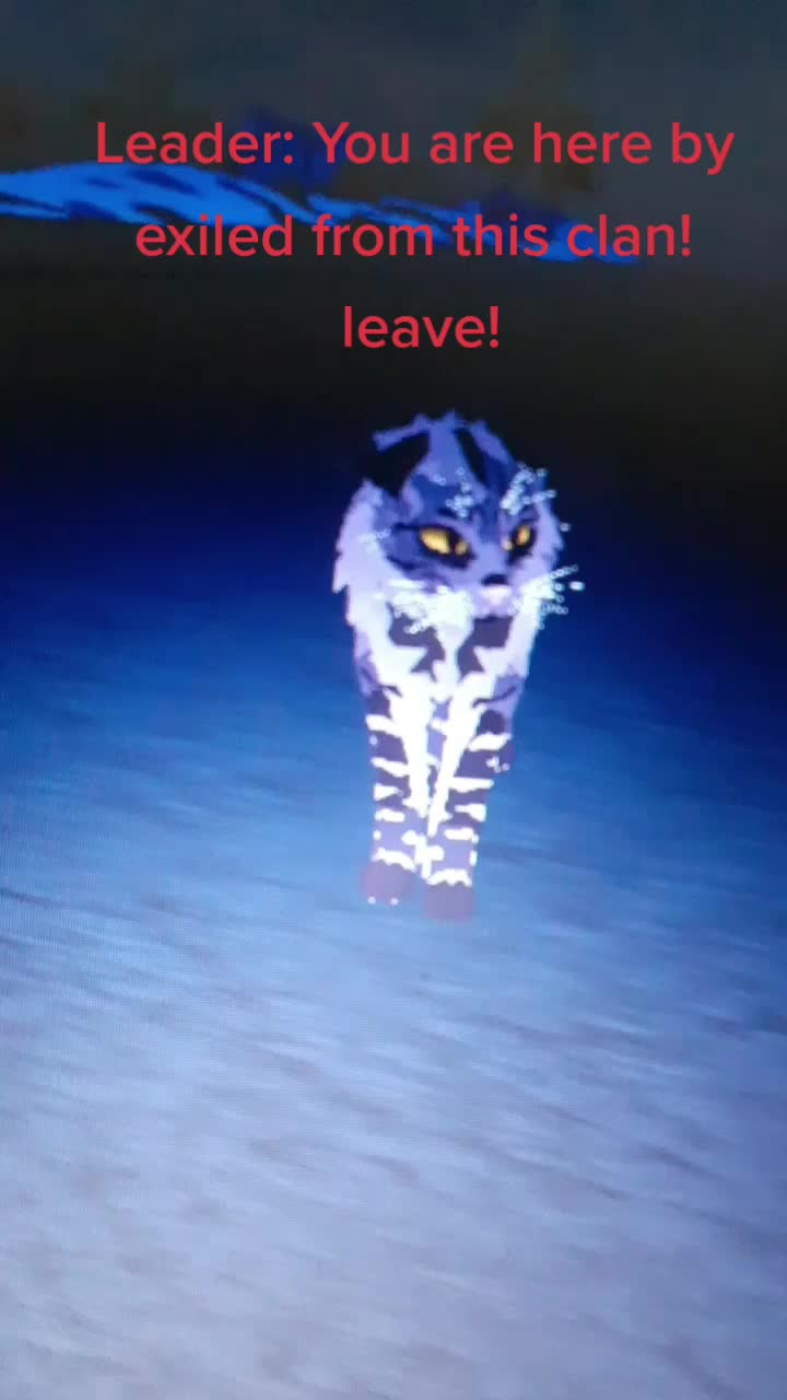 @warrior cats