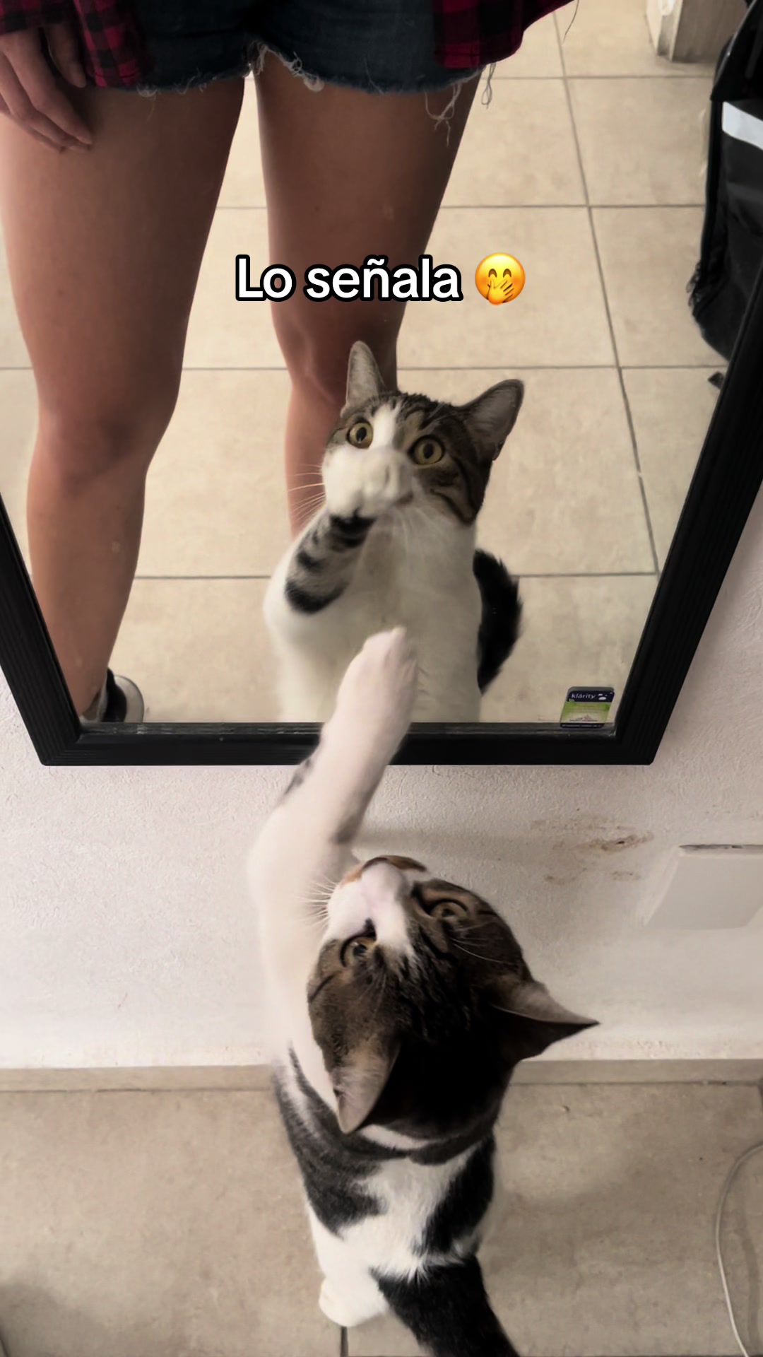@Mariana Trinidad