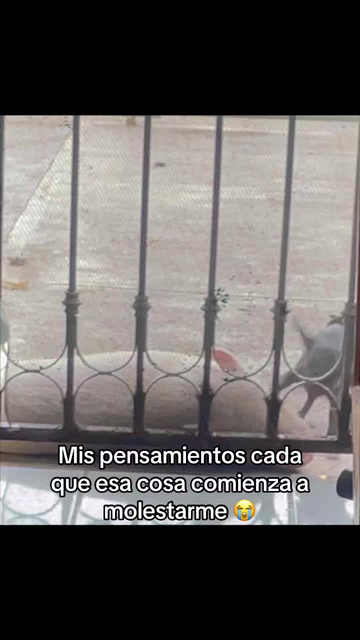@El Bubustacio 🥵