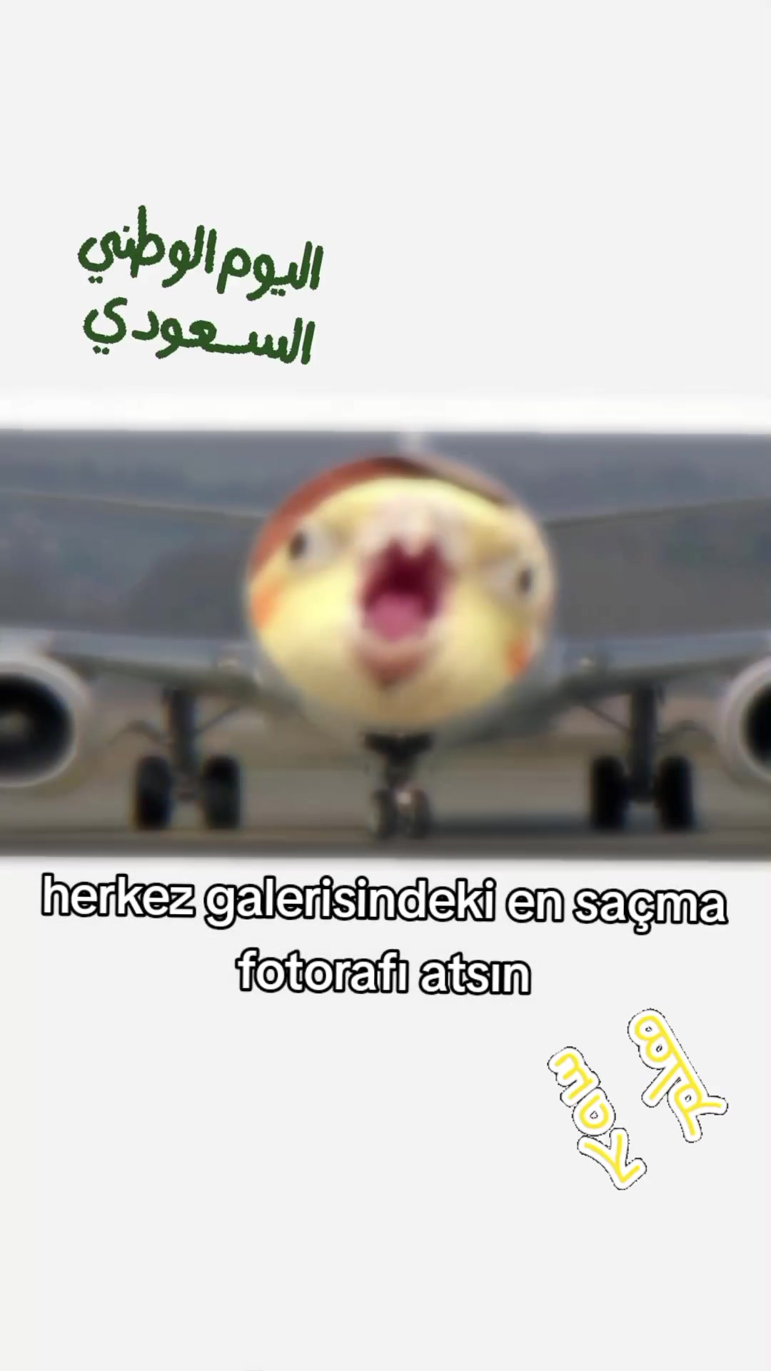 @cicikuş rıfkı🕊️
