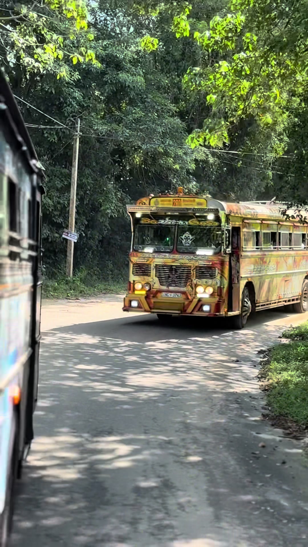@visekaraya bus