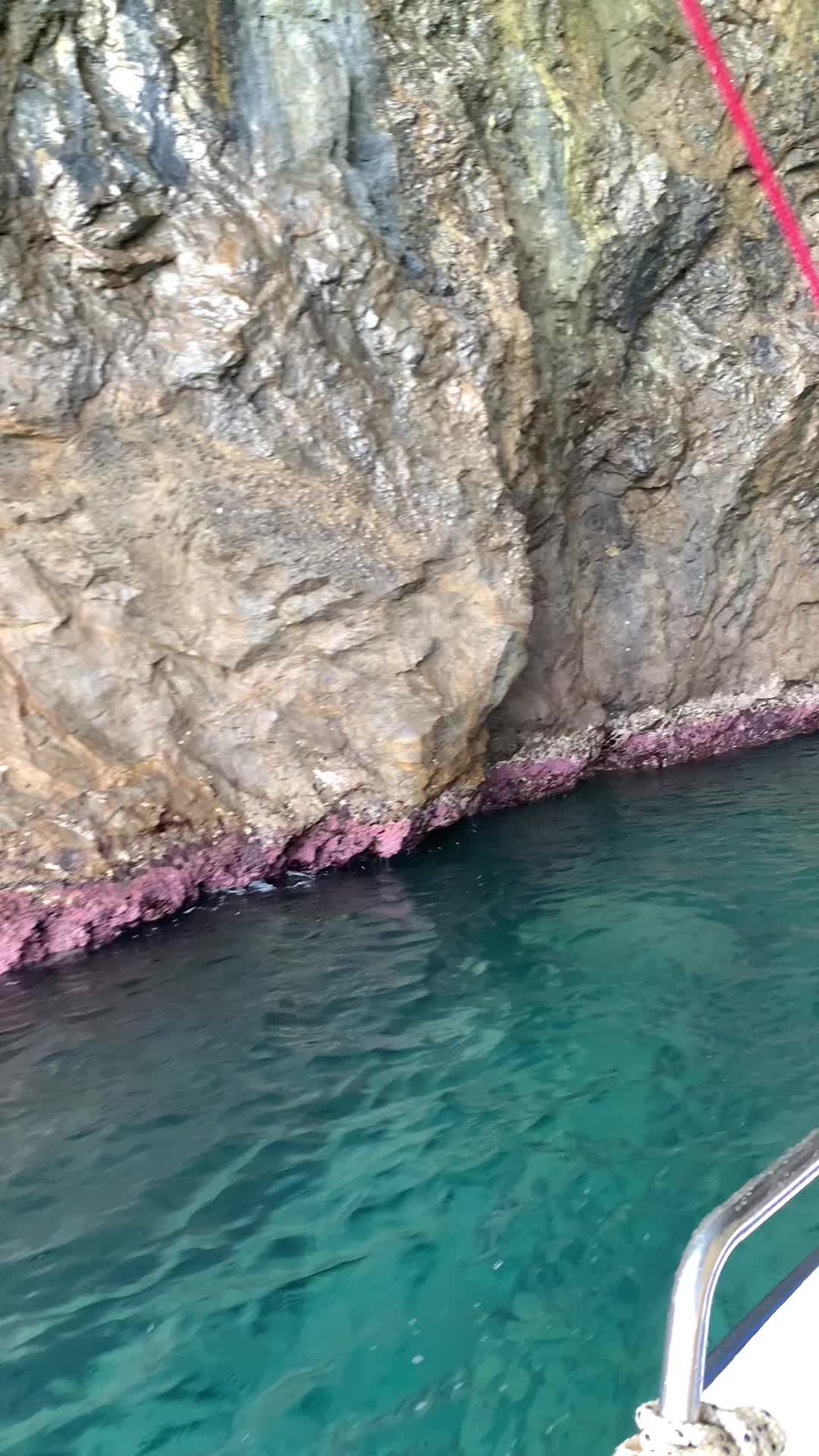 @𝐀𝐳𝐢𝐳 𝐌𝐨𝐭𝐨𝐲𝐚𝐭🐊