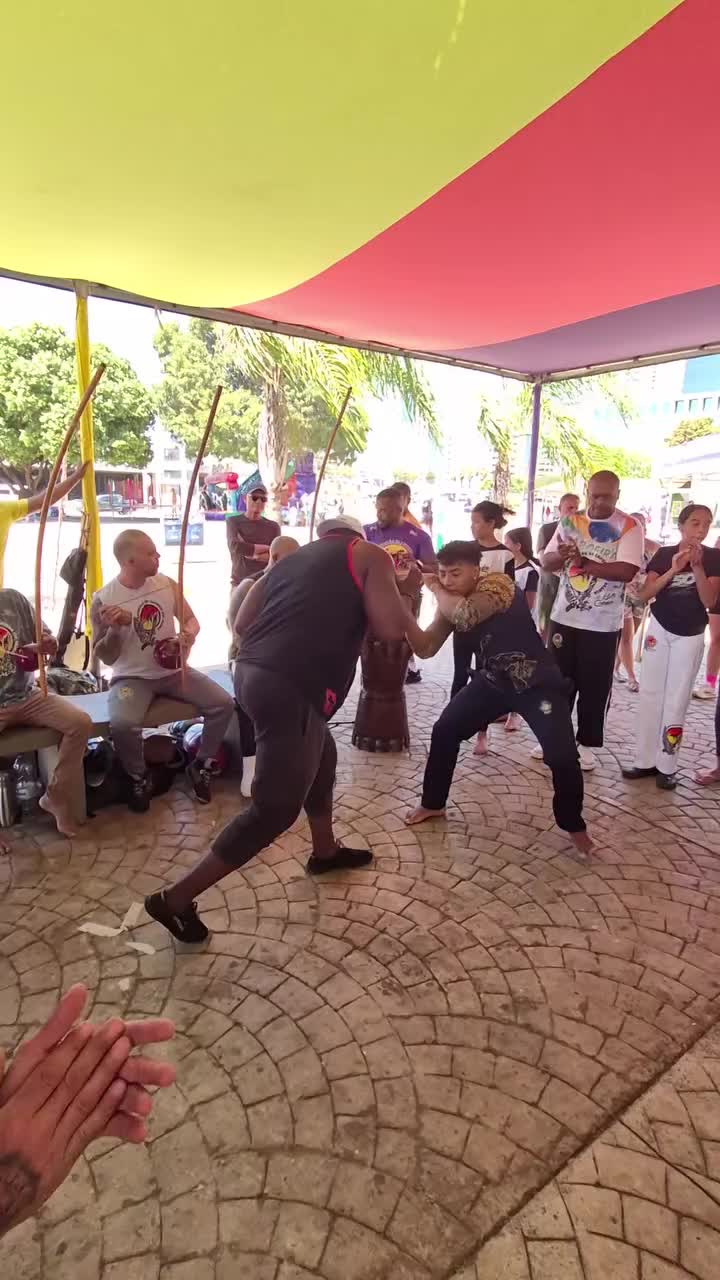 @so_capoeira