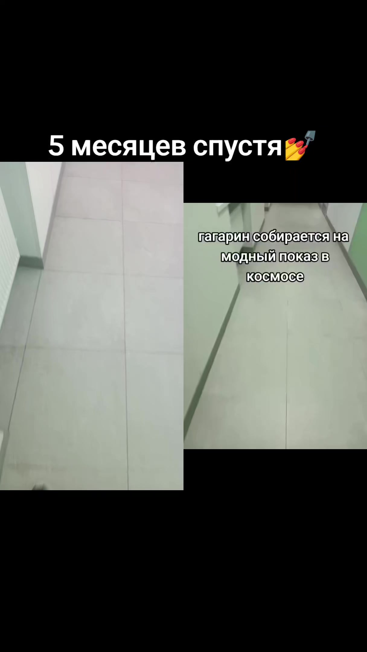 @заплесневейший ваукс
