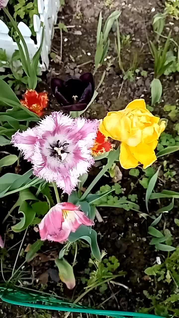 @user875759728734