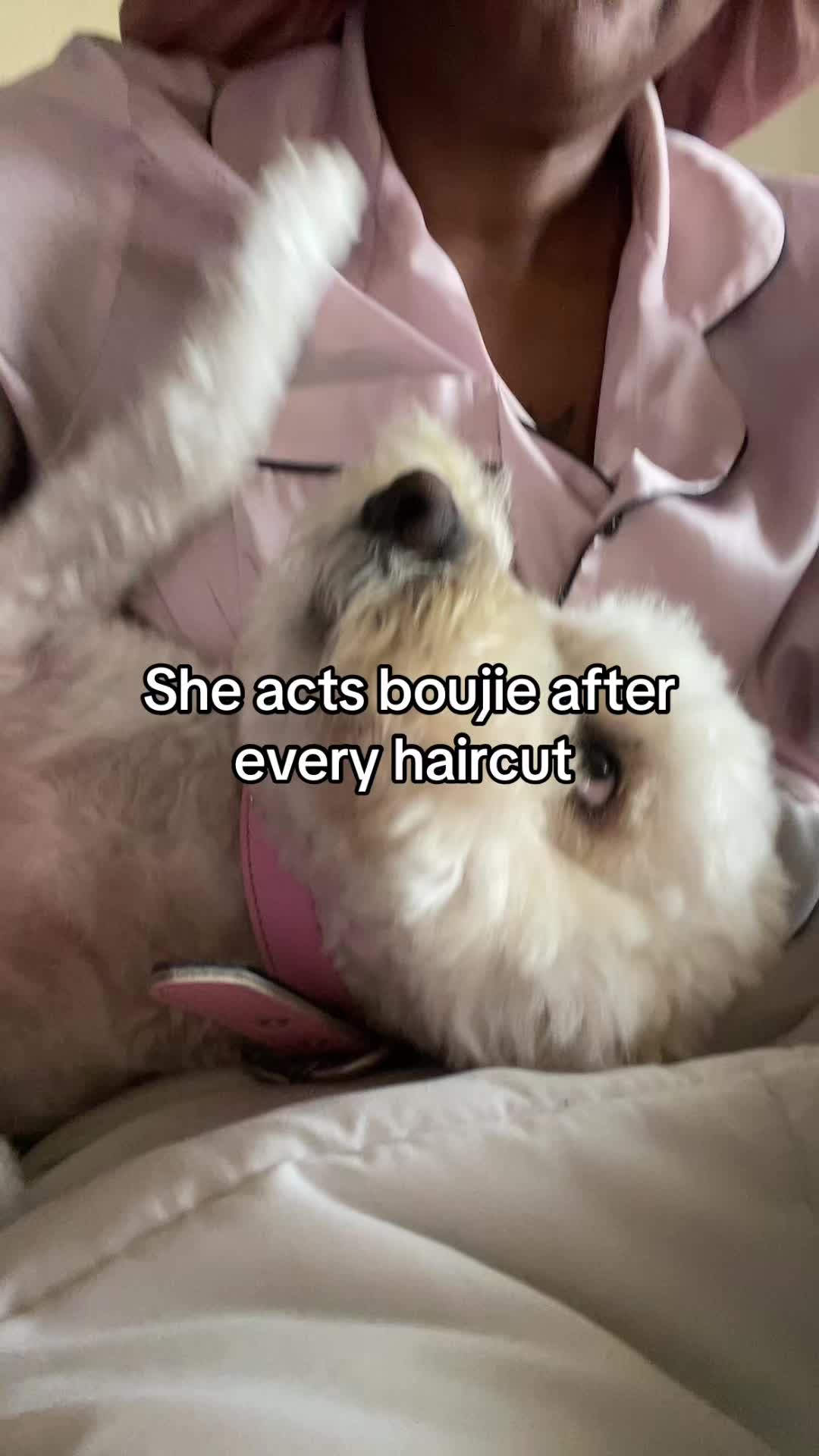 @Sonya🎀