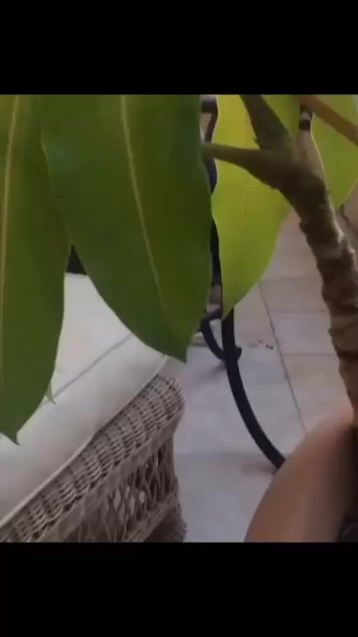 @anthorworld