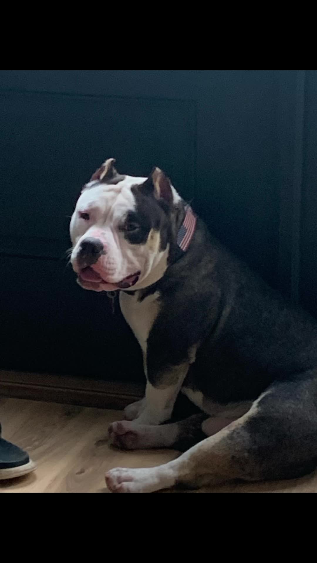 @chinomendezbully