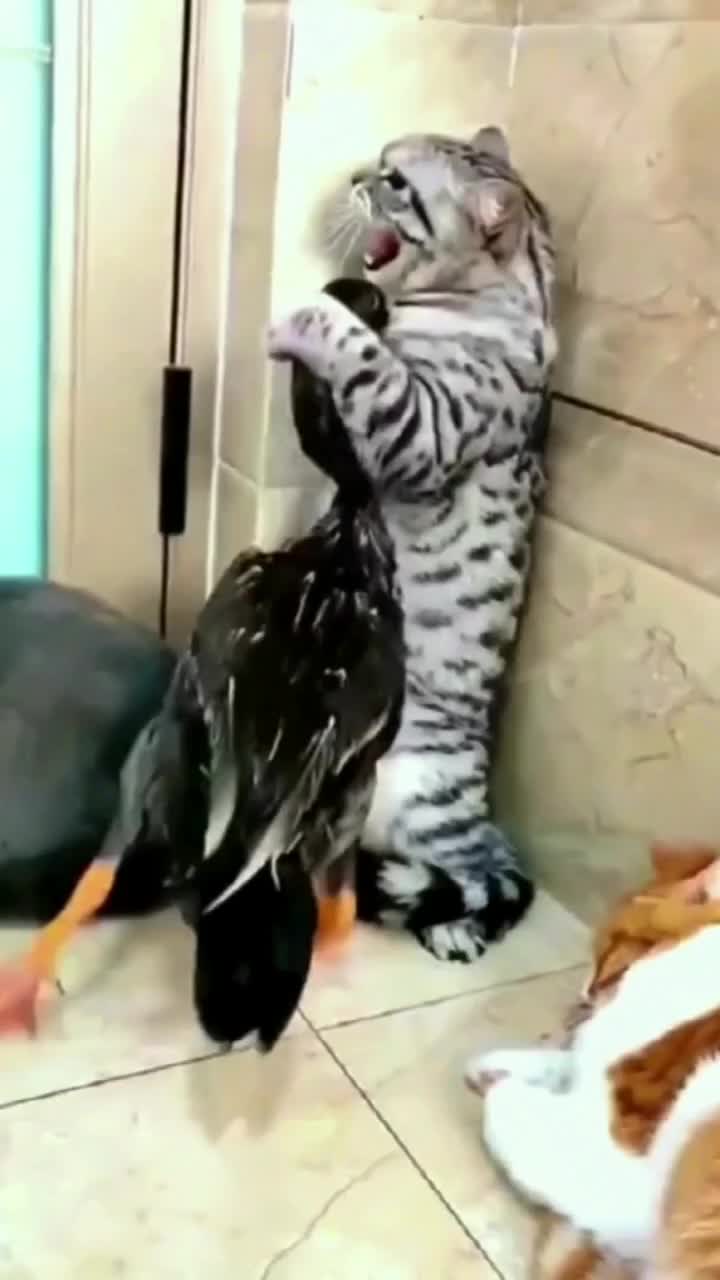 @bishuvmn1cp