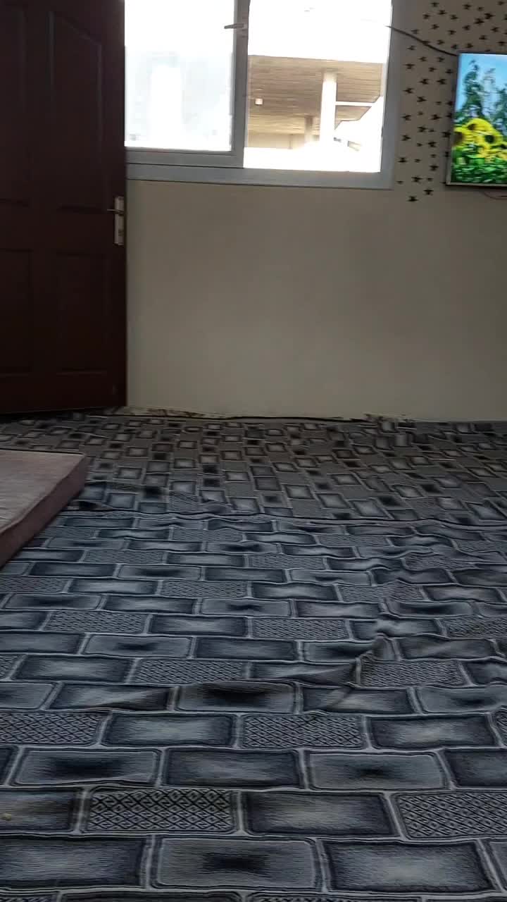 @Ayşe Koşar