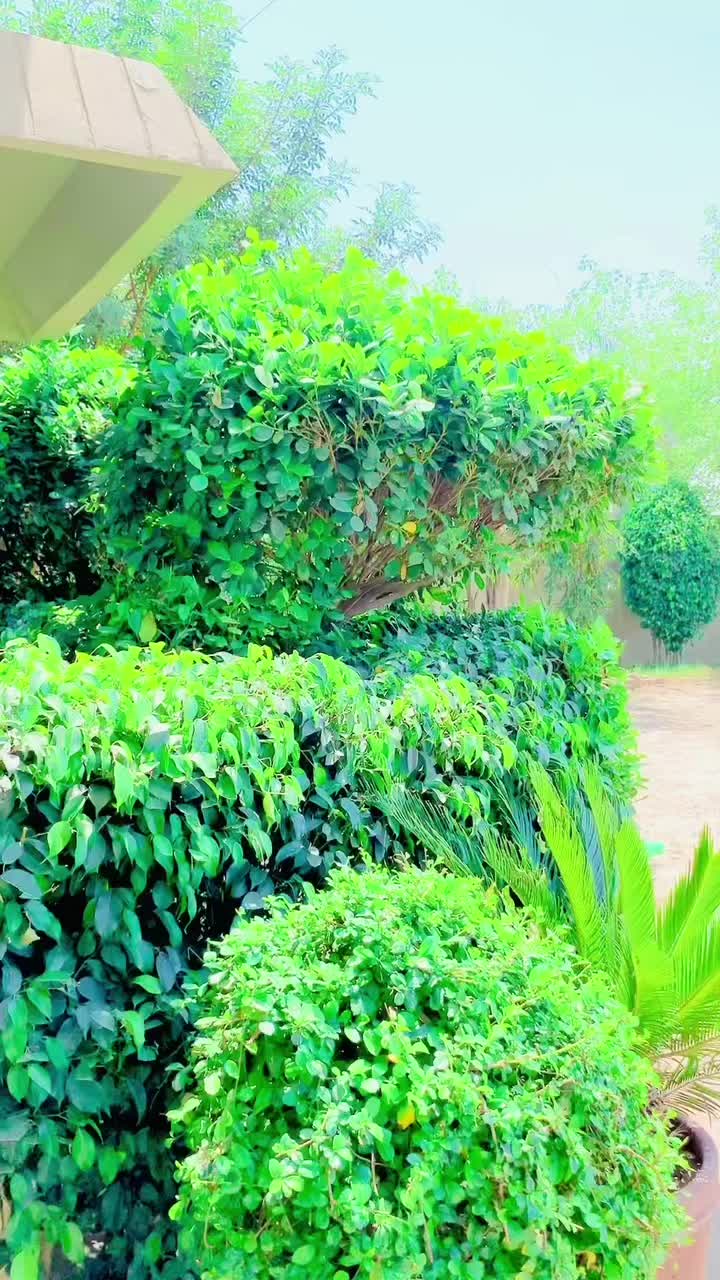 @𝒁aiبɪɪ Kha𝓷🫠