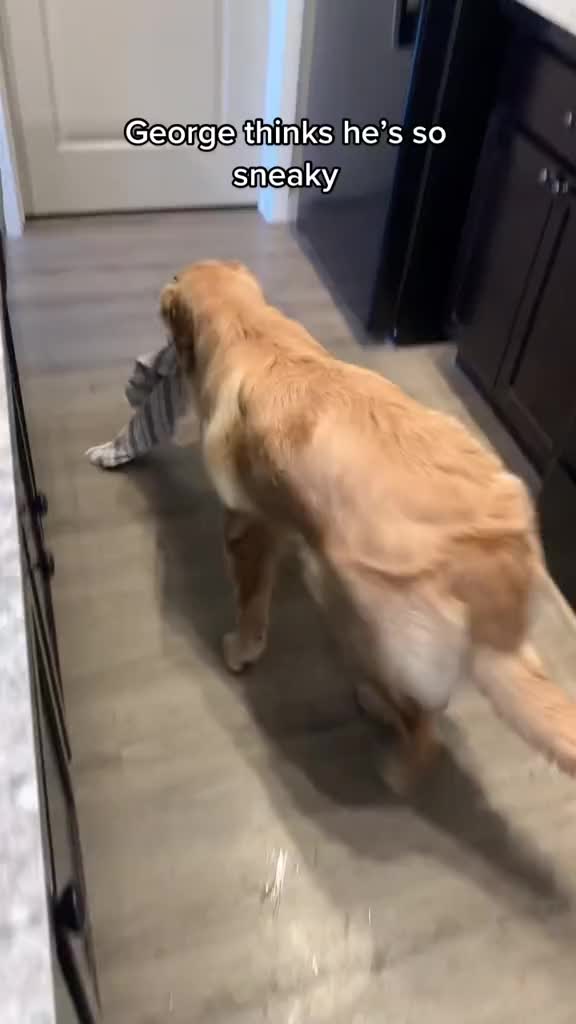 @George The Golden