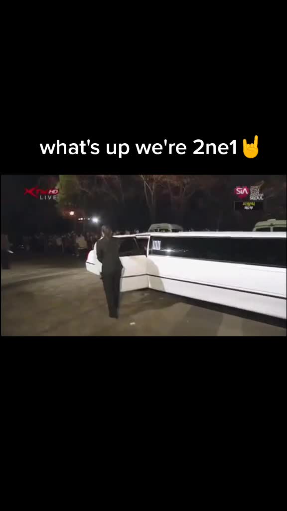 @2ne1fourever1
