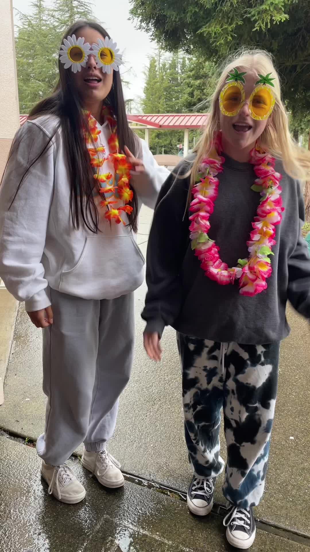 @mvhsclassof2026