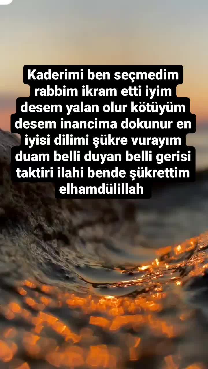 @elisa halat01