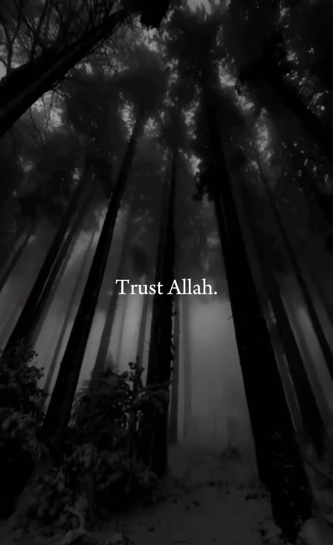 @🕋ISLAM🕋🫶