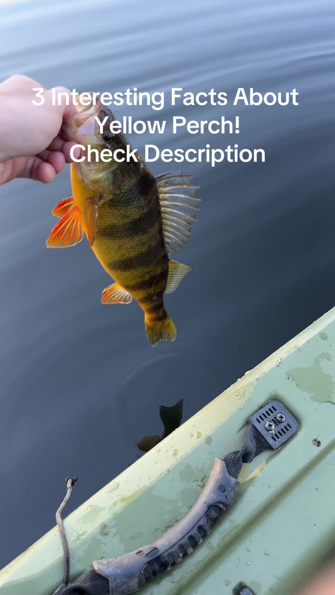 @PBFish.com