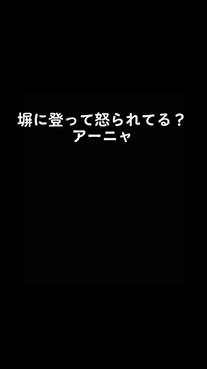 @コラおじさん