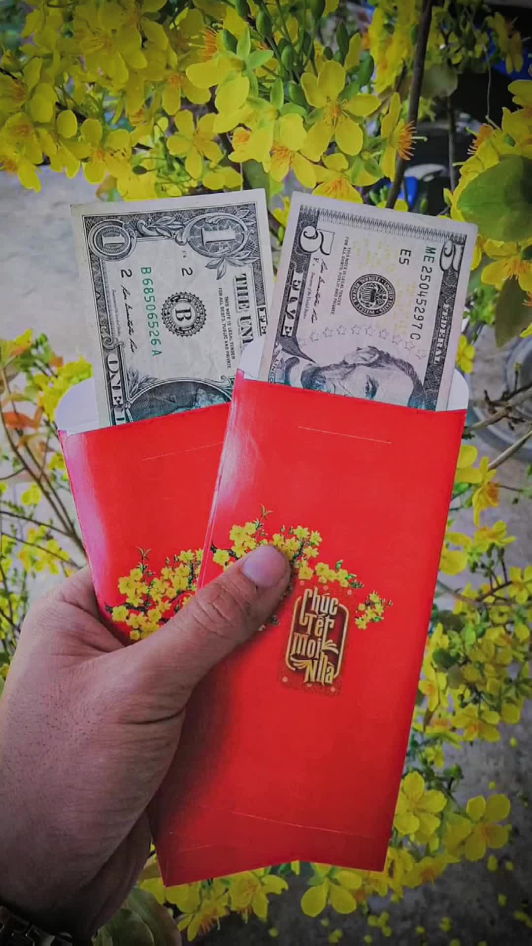 @V&otilde; Ho&agrave;ng Nam🦈