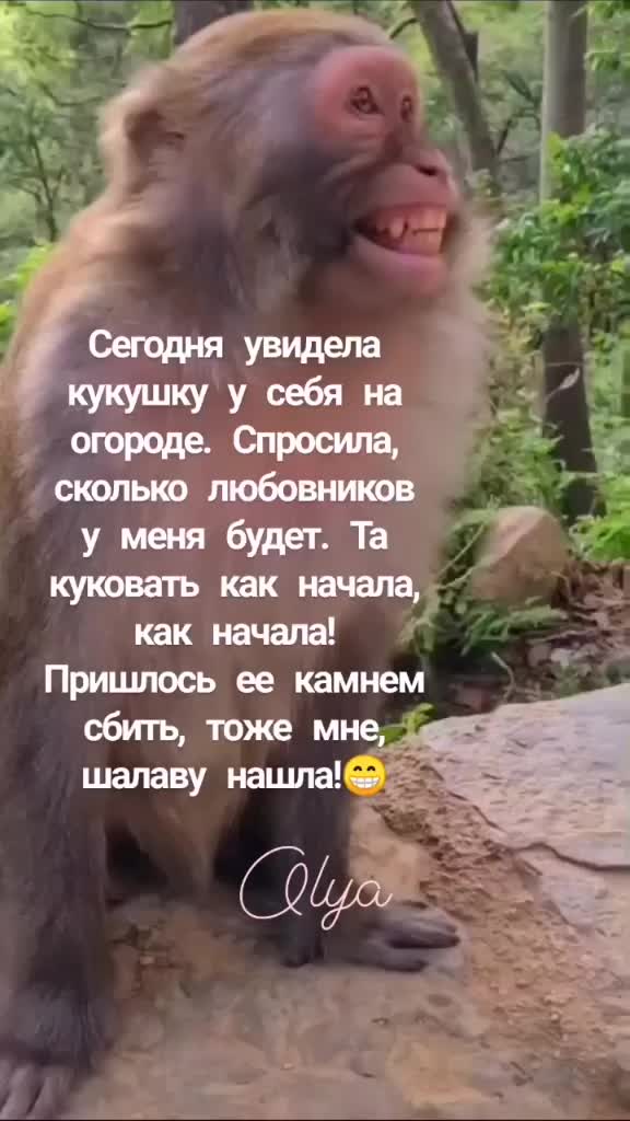@Olya🇷🇺