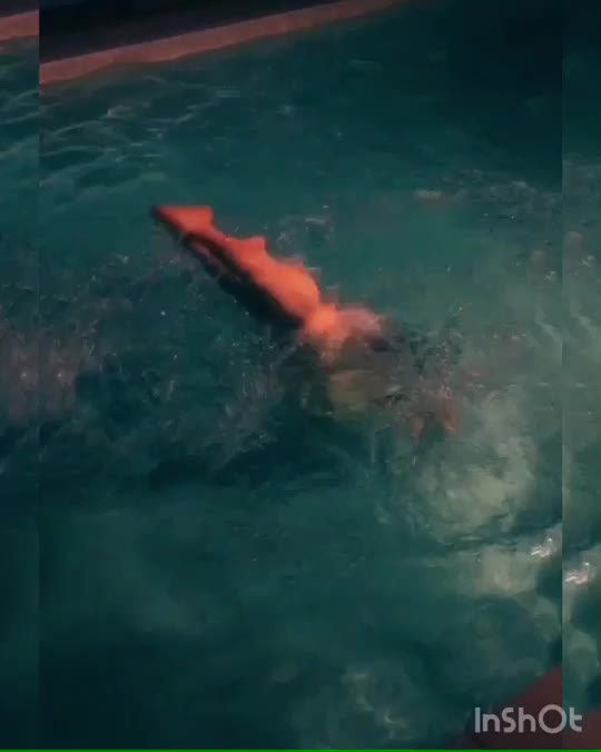 @filatovalina