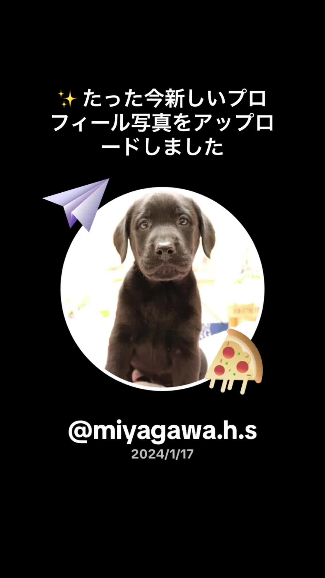 @miyagawa.h.s
