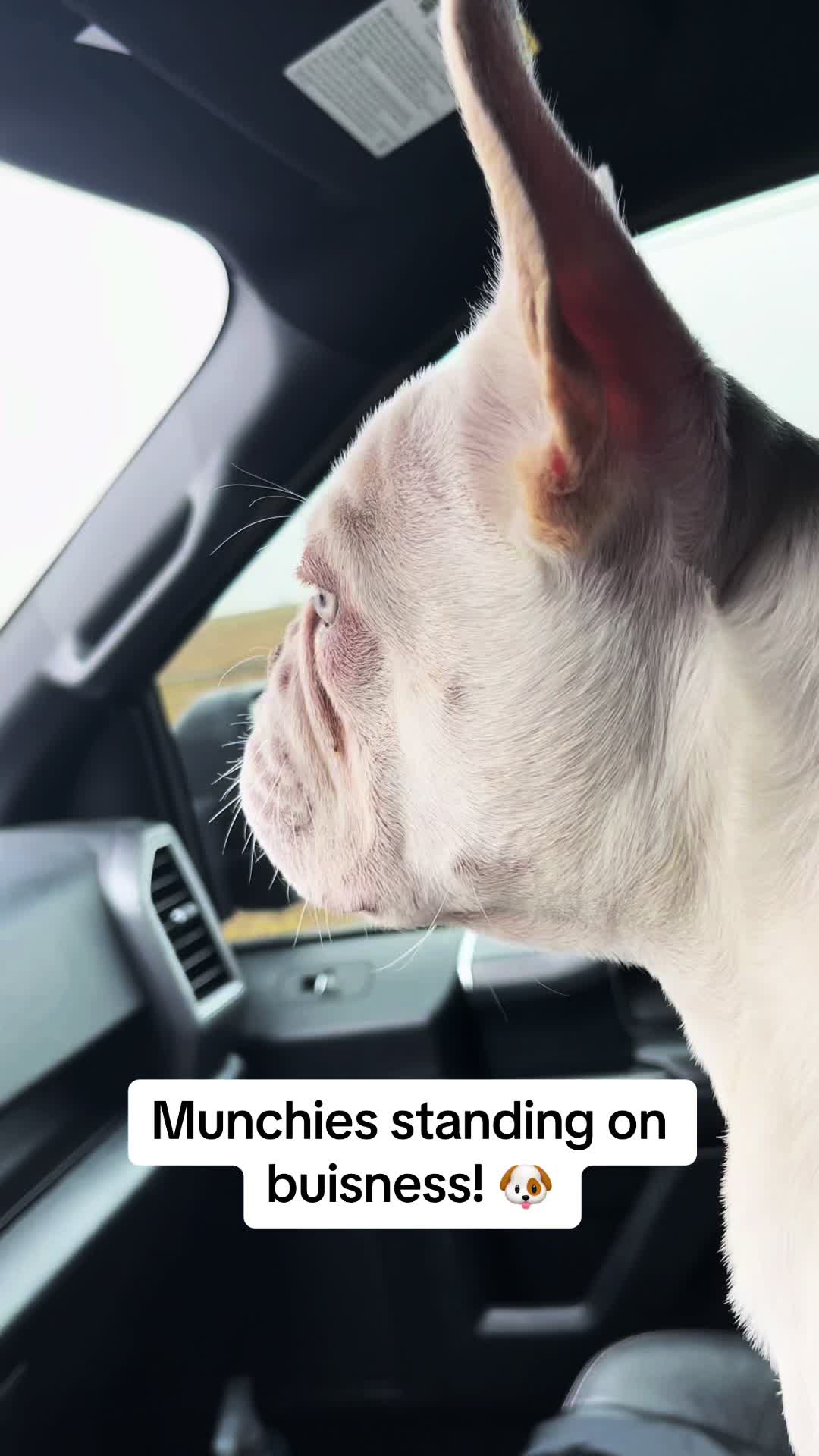 @KingMex