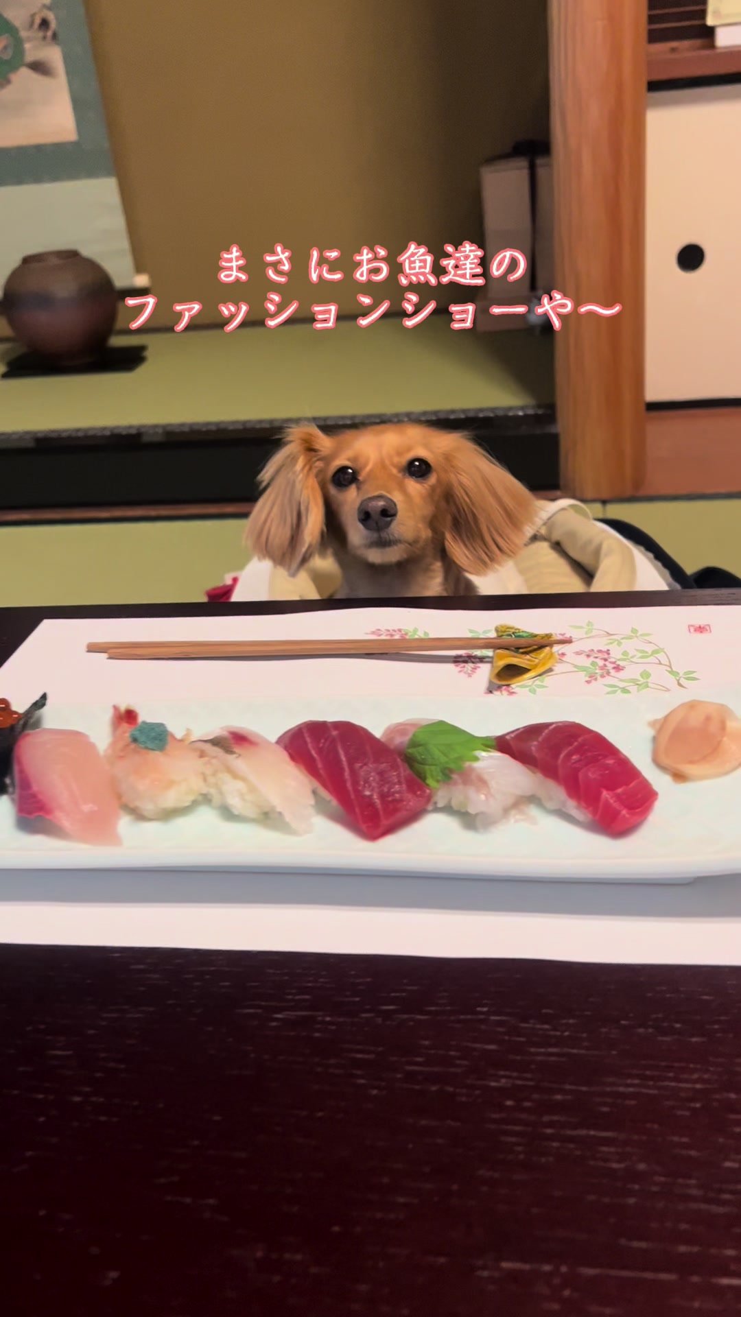 @wanwanカフェ物語