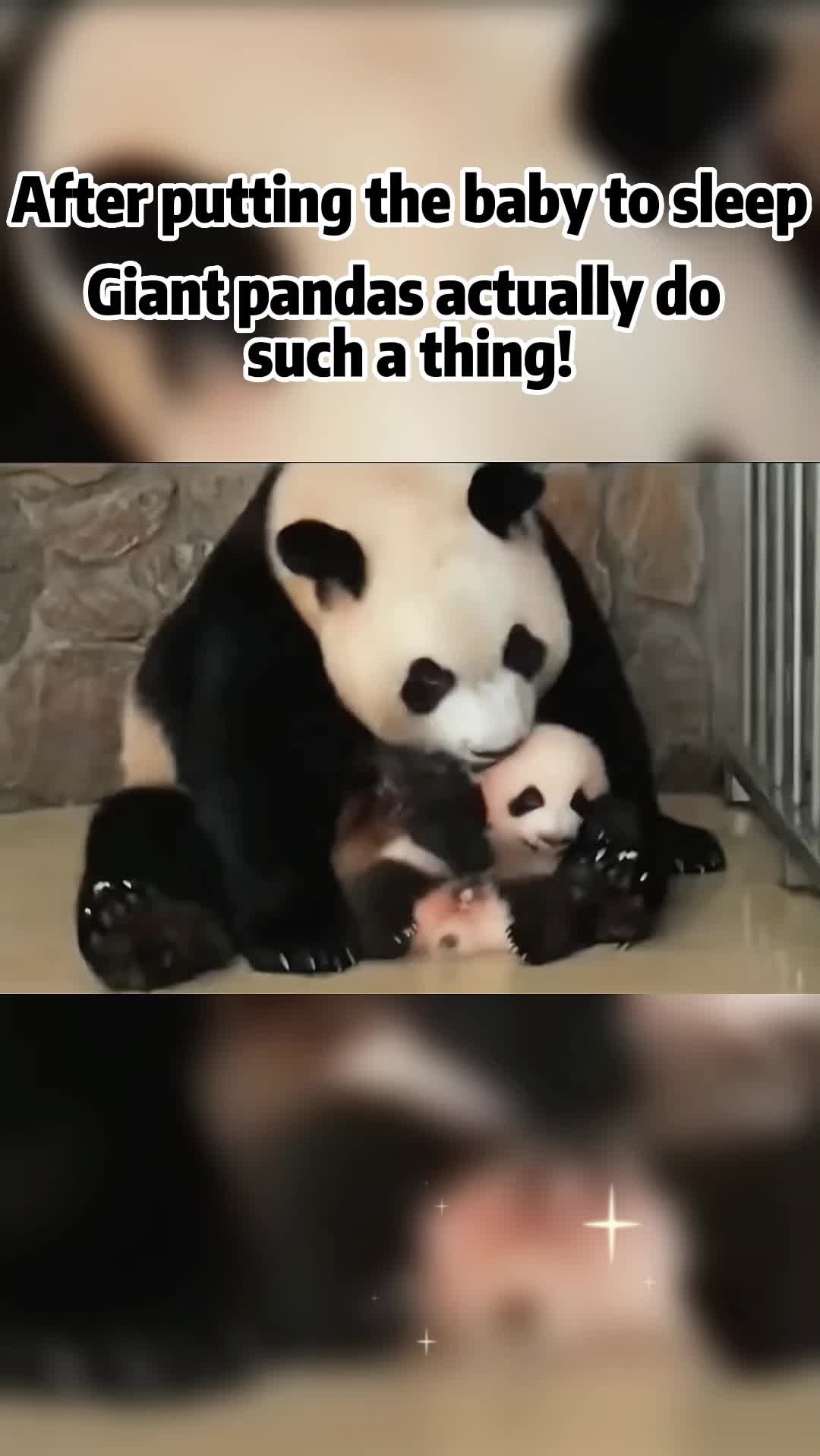 @cute little guy