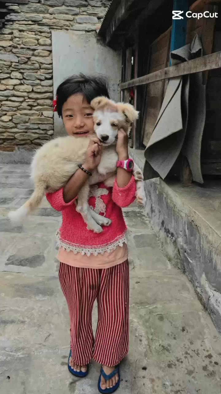 @Puja Sunari Magar