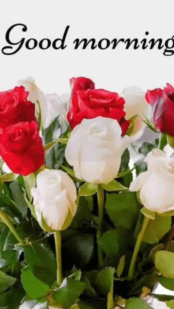 @user53995910207
