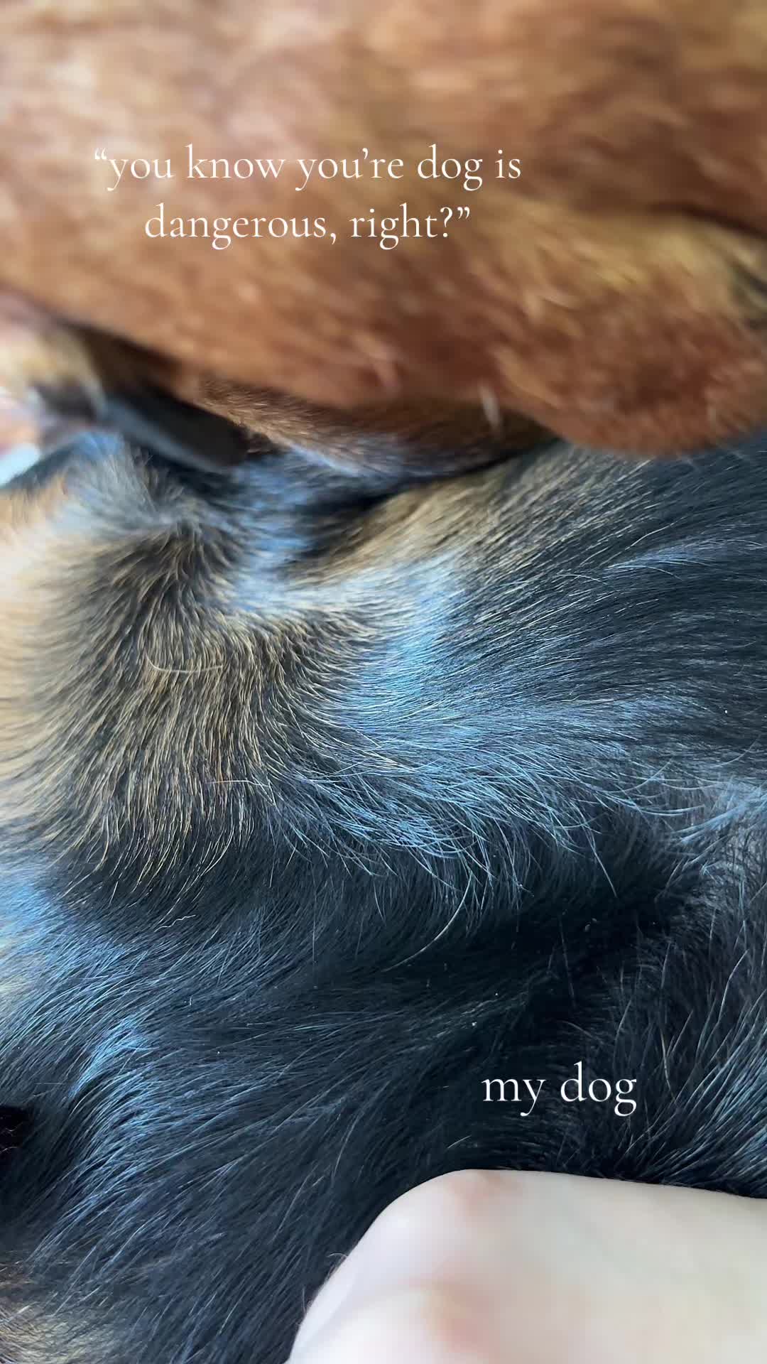 @𝒫𝒶𝓊𝓁𝒶