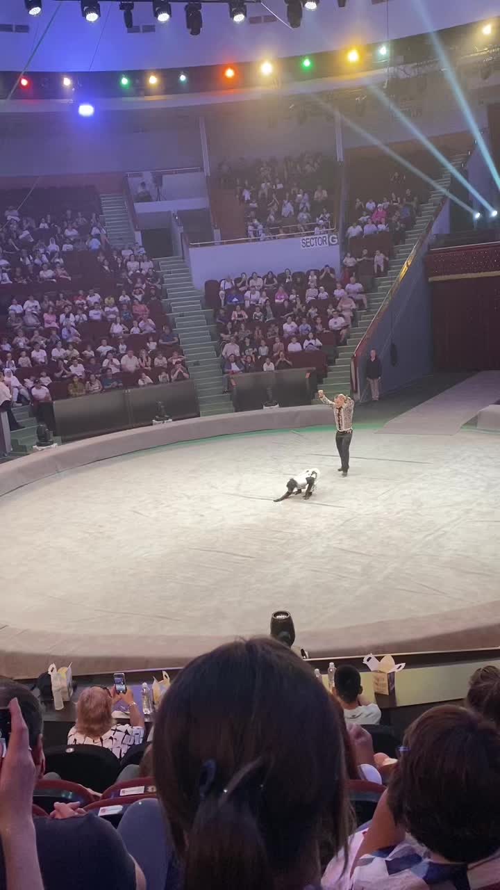 @Татьяна Летягина