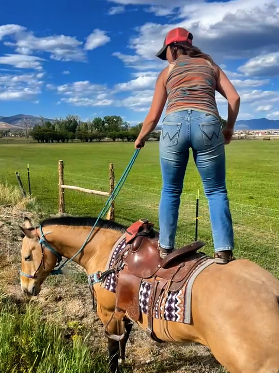 @Olsen Horse & Cattle Co. LLC