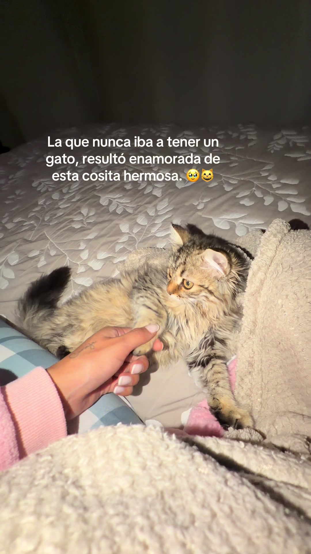 @Sara Castañeda 🤍