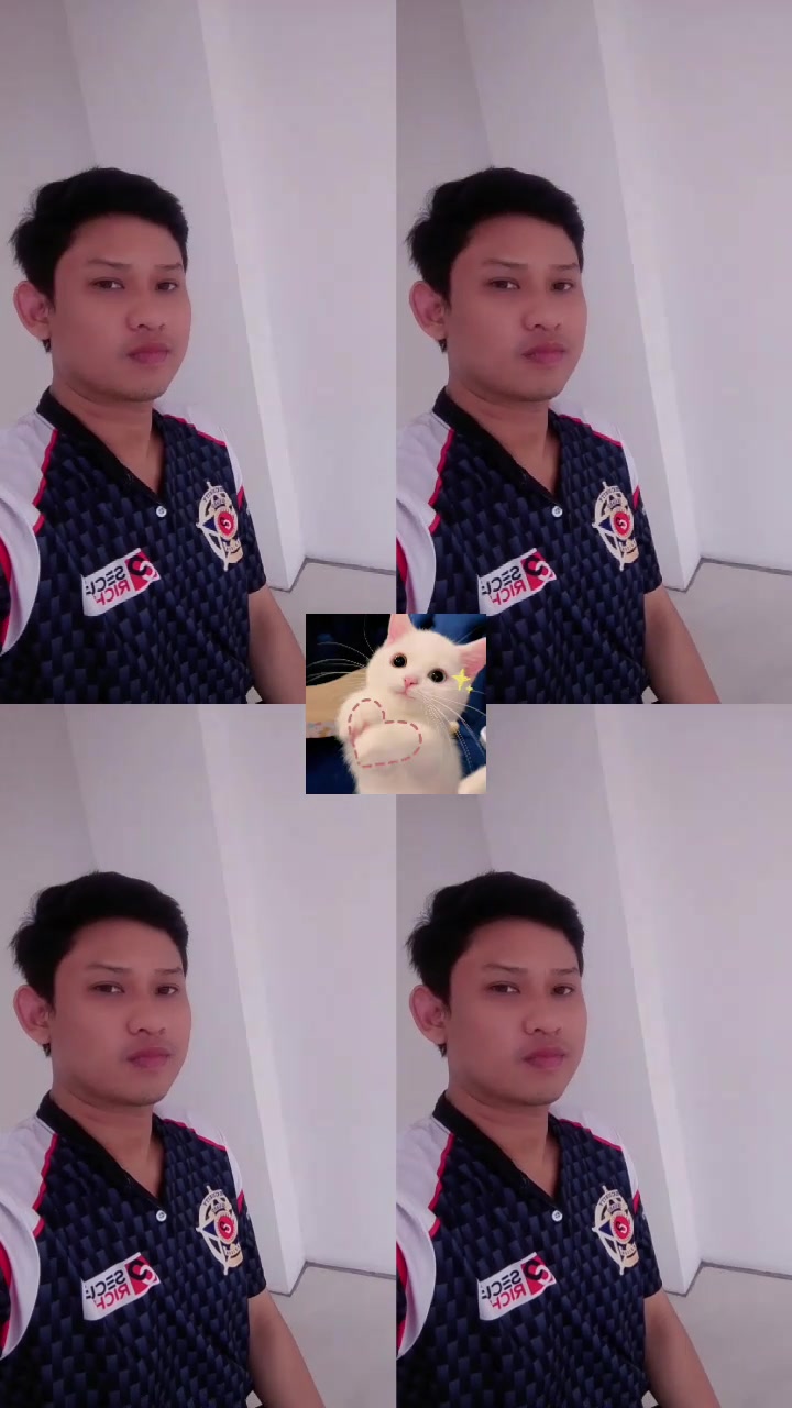 @เจมินิ