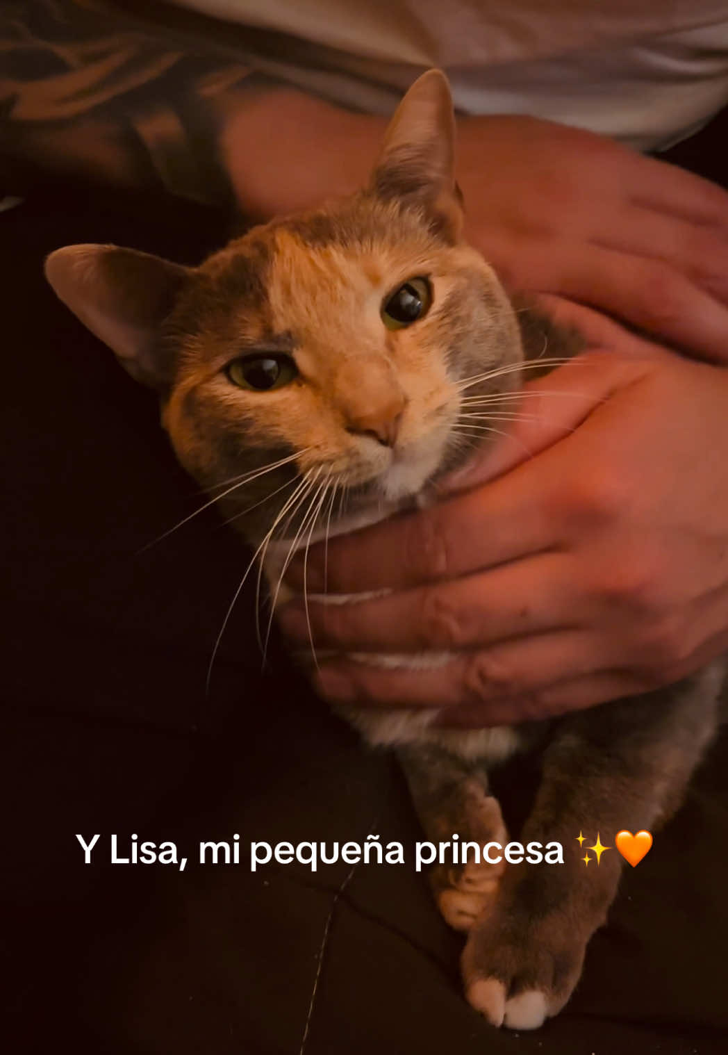 @Antuliss ✨