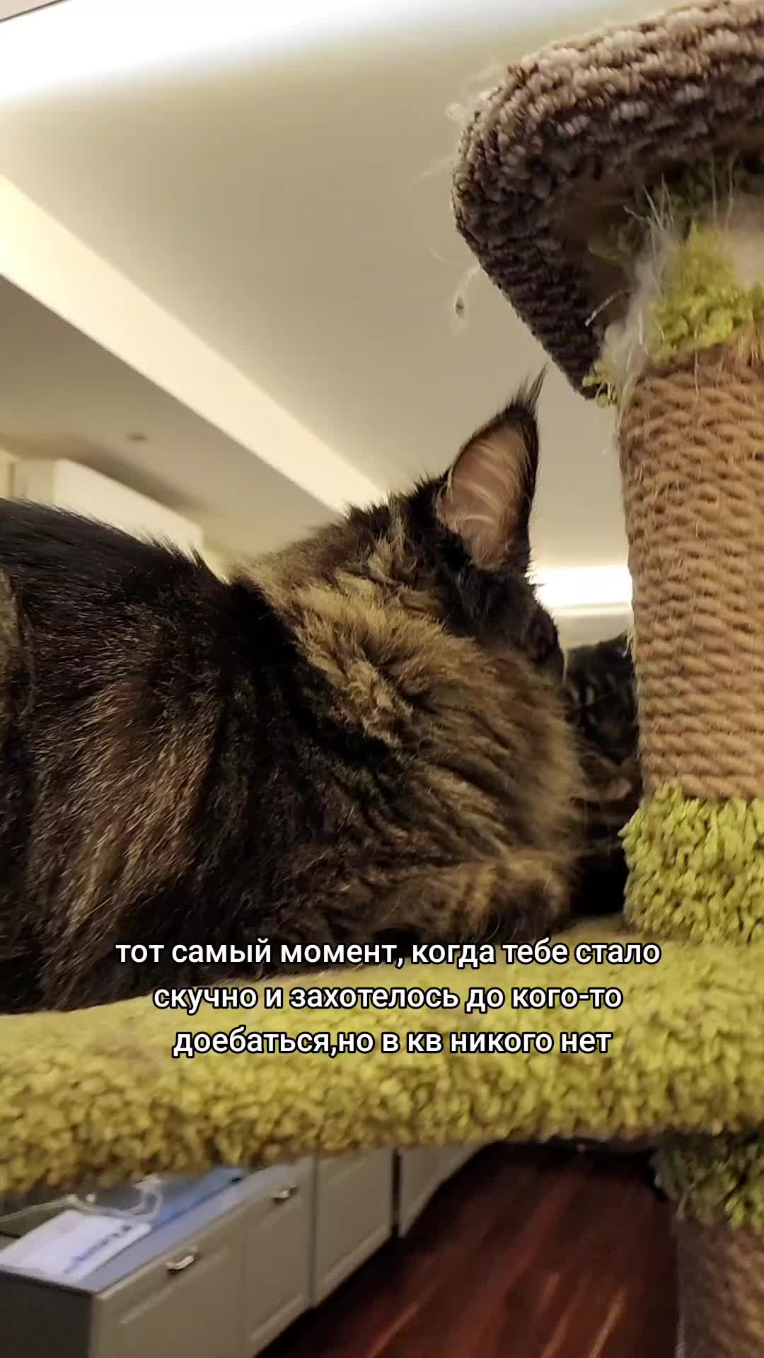 @Анфиса