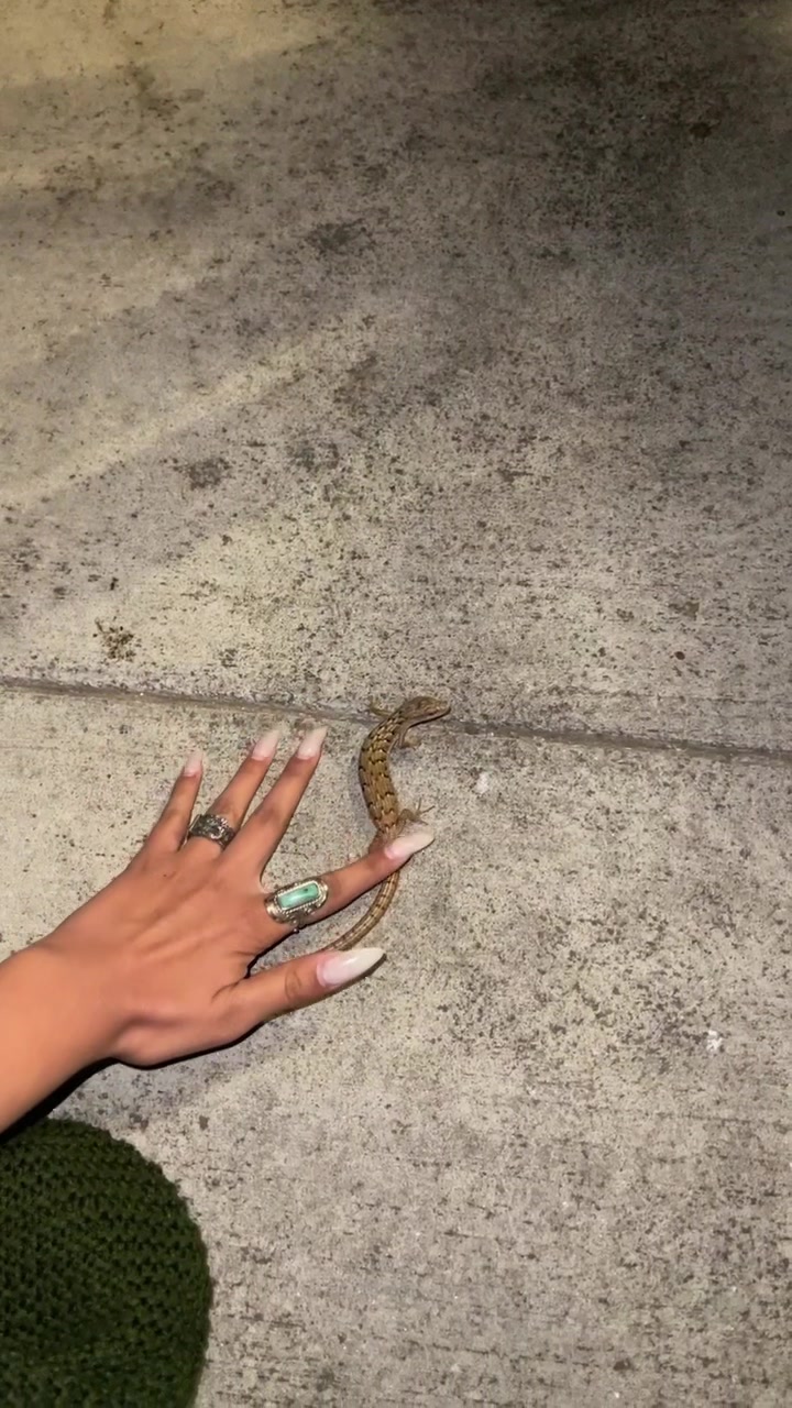 @Ari💥