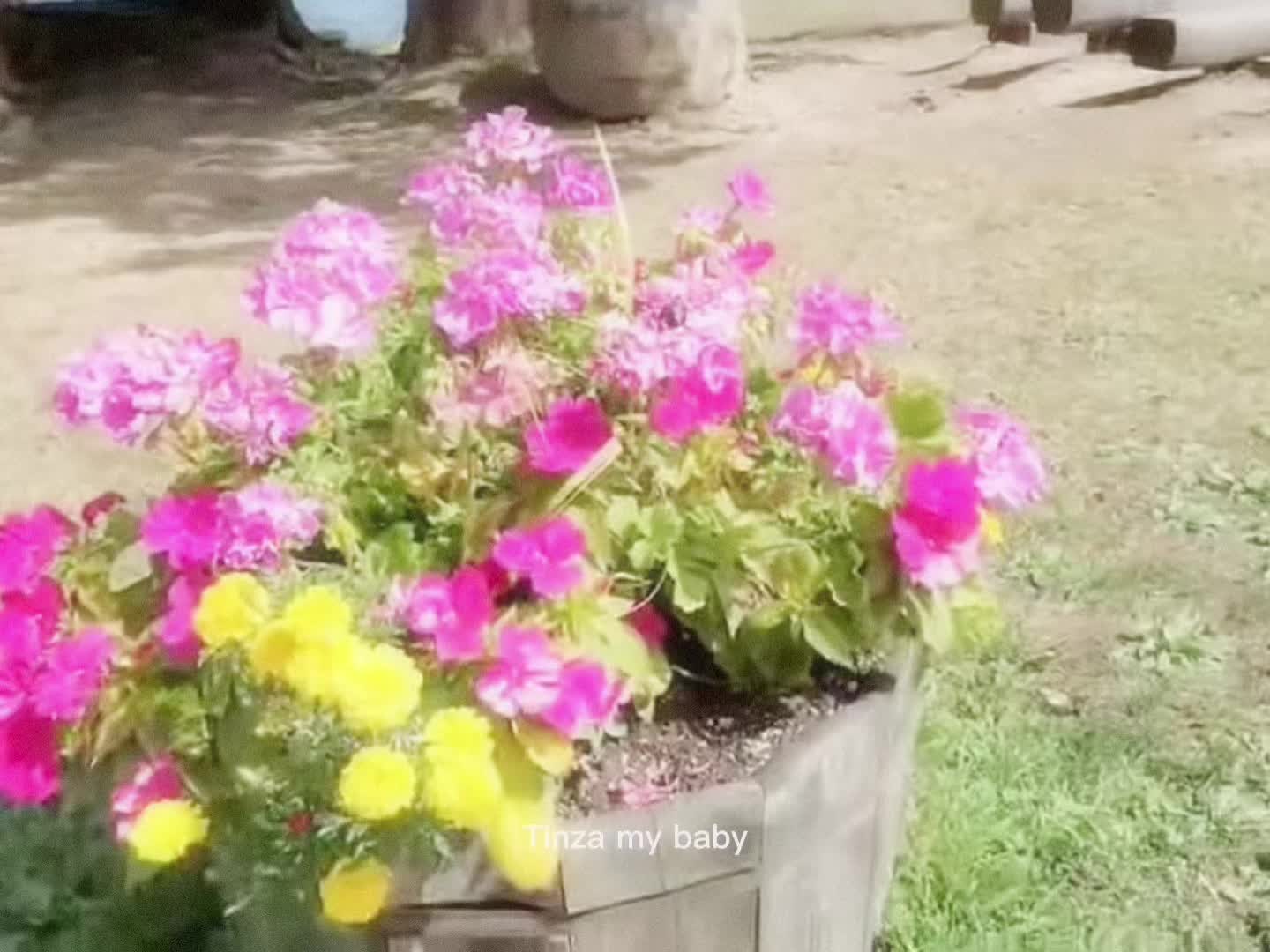 @୨୧ zzztinakitten