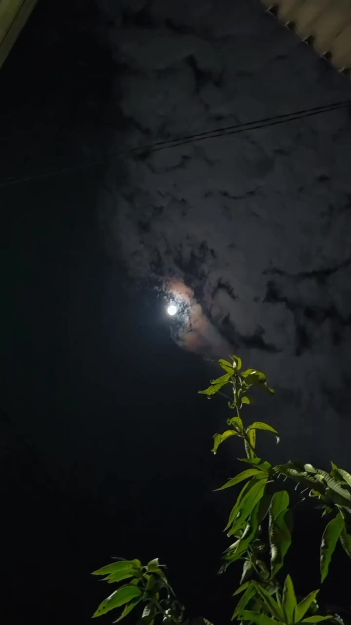 @𝐒ᡣ𐭩࣪⋆
