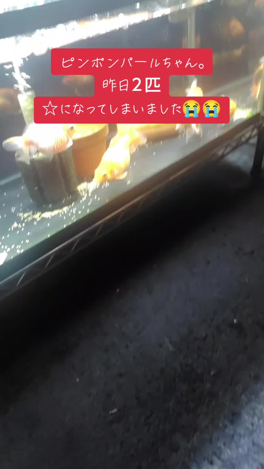@オギマ