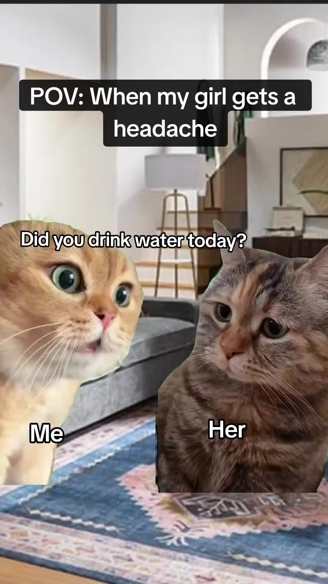 @ondatoylet