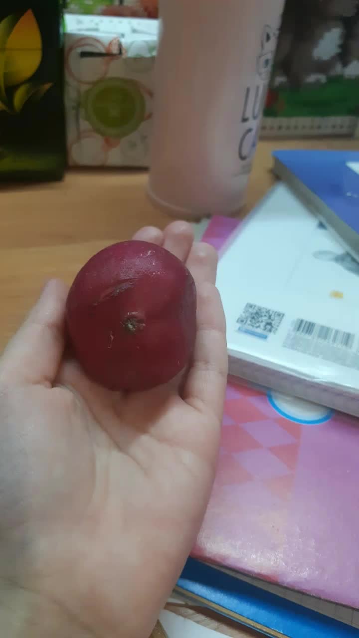 @amirakajjahgzamit