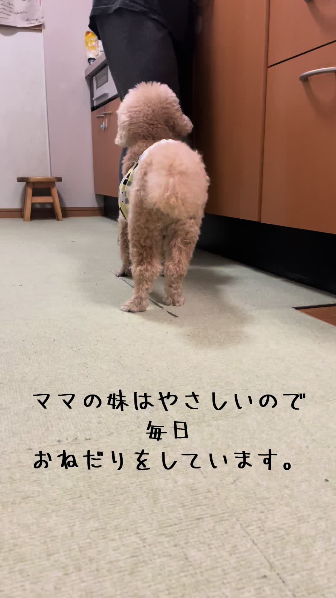 @きなこ