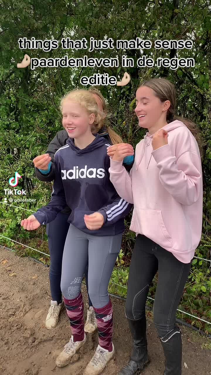 @De Hilversumse ponyclub