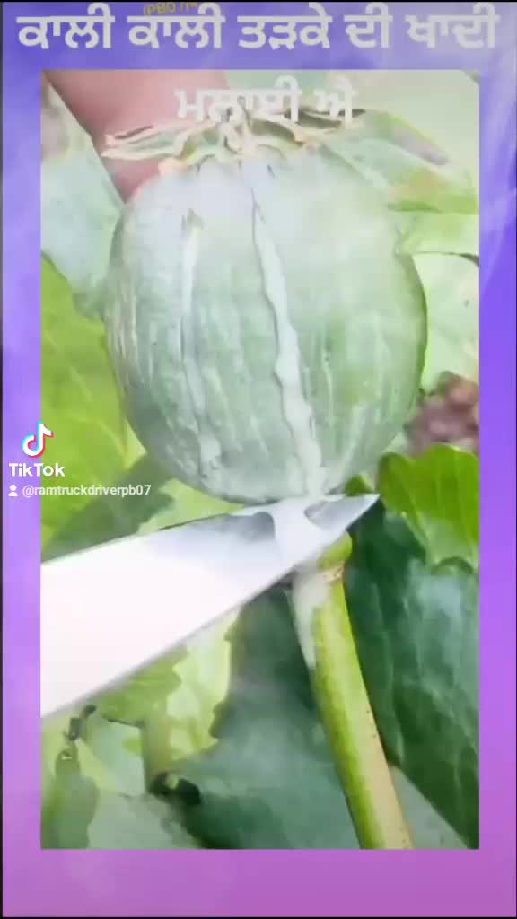@@ramPB07