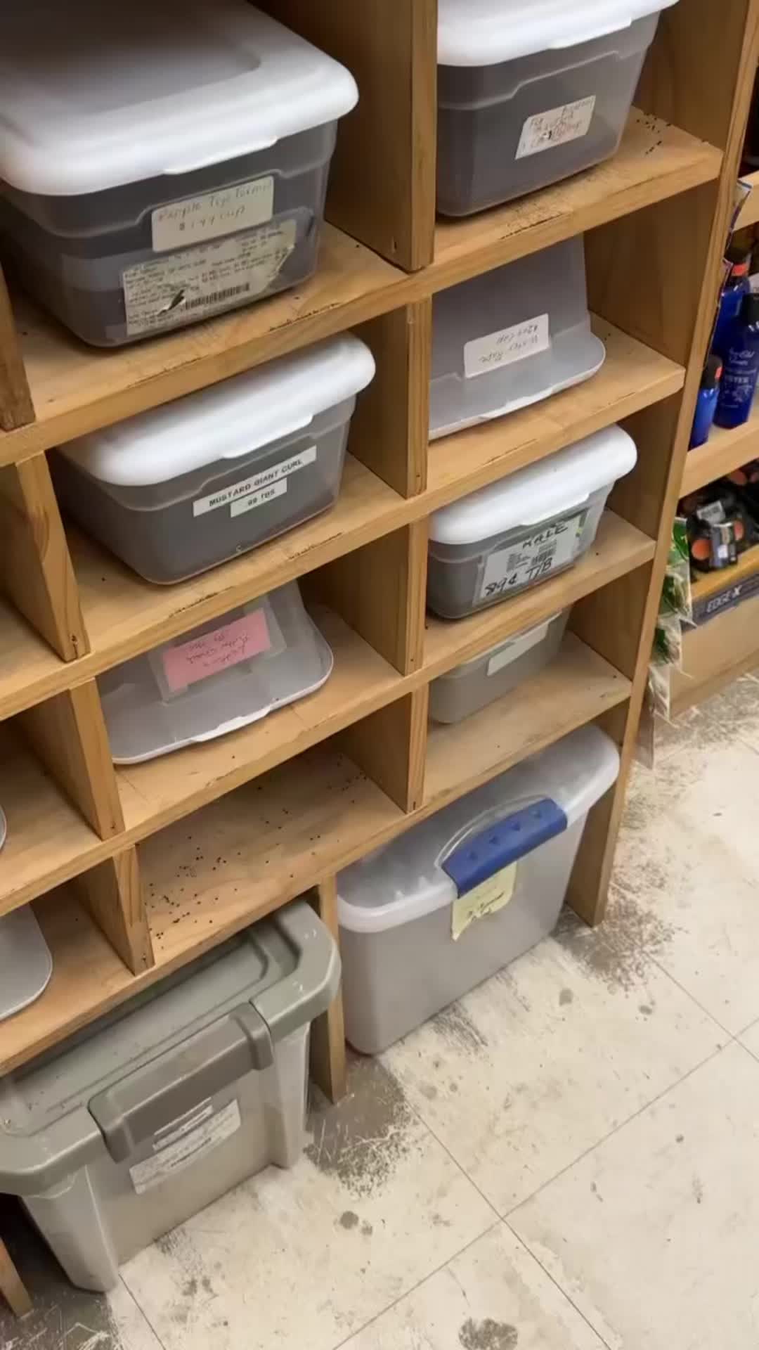 @GrowWithReko